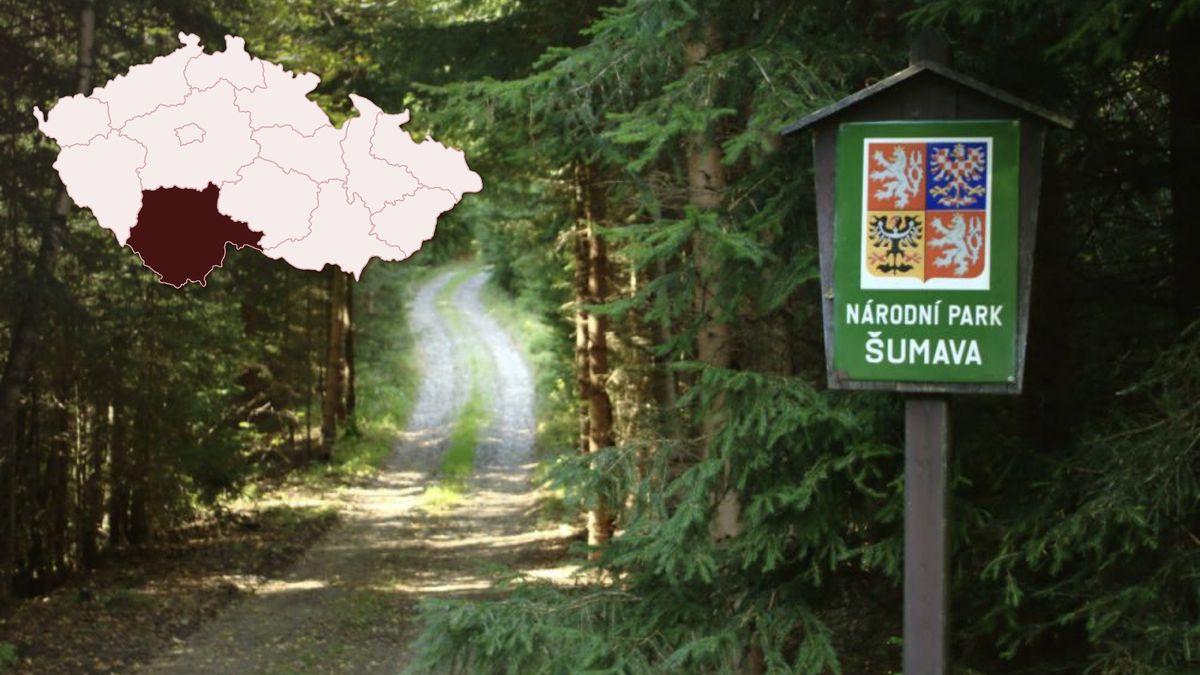 NP Šumava letos pokácí u turistických tras 4000 uschlých stromů